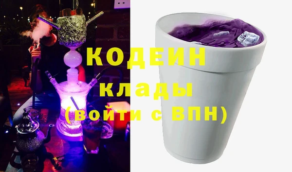 PSILOCYBIN Корсаков