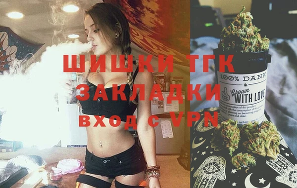 PSILOCYBIN Корсаков