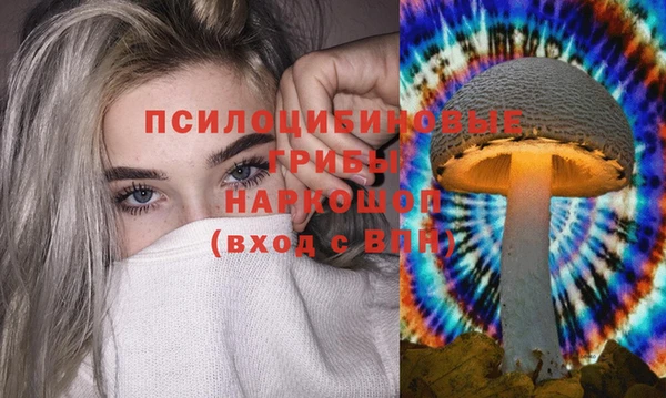 тгк Костерёво