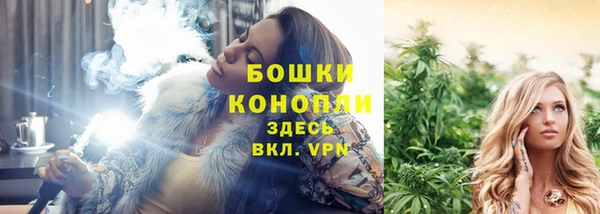 тгк Костерёво